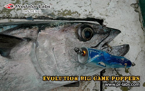 PRL_EVO46